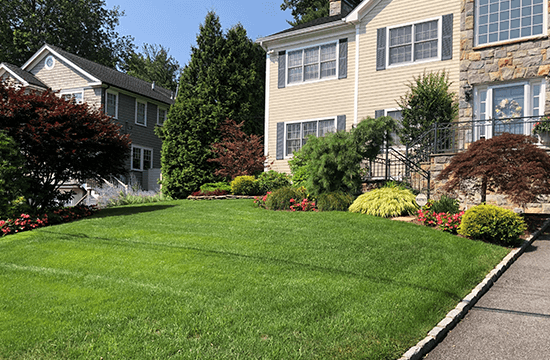 Get the lawn you've always dreamed of