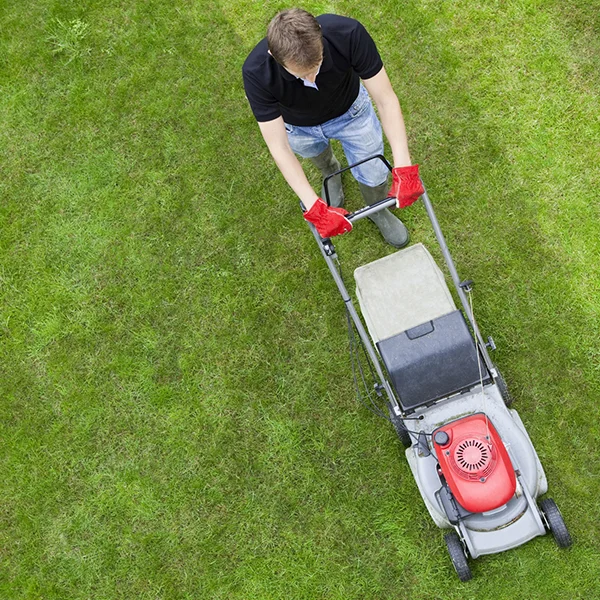 Mowing and Watering Instructions for Your Lawn