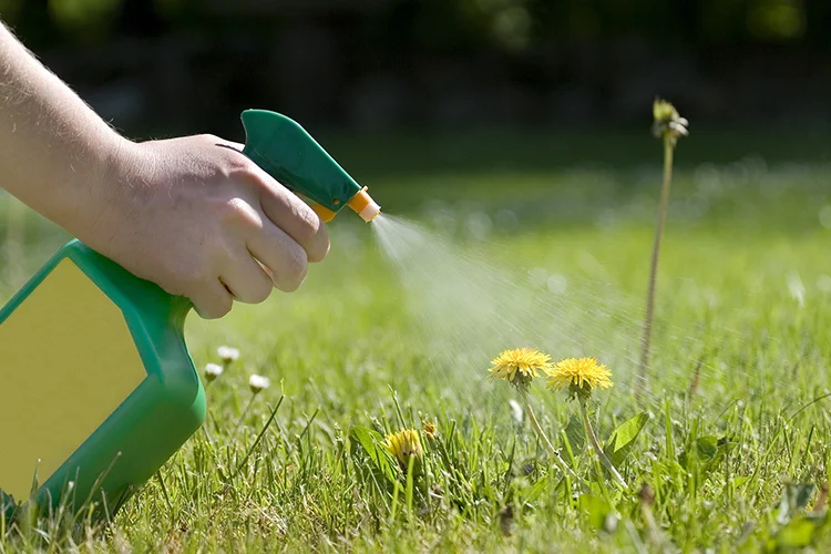 Watering your lawn
